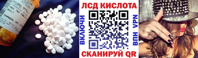LSD-25 экстази ecstasy  Шенкурск 